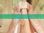 The Splendid Beauty of Hanfu Wedding:The Phoenix in Flight