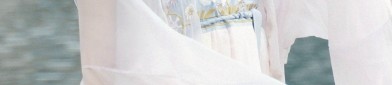 The Evolution of Flower-Adorned Shoes in Hanfu Fashion:A Cultural Exploration