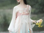 Ethnic Splendor:The Art of Cheongsam-Inspired Embroidery on a Qipao-Style Dress