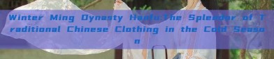 Winter Ming Dynasty Hanfu:The Splendor of Traditional Chinese Clothing in the Cold Season