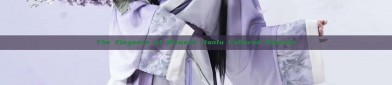 The Elegance of Womens Hanfu Collared Blouses