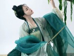 Wang Zhaojuns Splendid Beauty in the Flowing Robes of the Phoenix