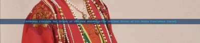 Childrens Costume for Dream of the Red Mansions:The Ancient Dress of Lin Daiyu Concubine Corail)