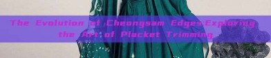 The Evolution of Cheongsam Edges:Exploring the Art of Placket Trimming