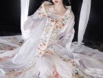 Mastering the Art of Hanfu Hair Combs:A Guide for the Handicraft Challengers