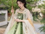 Traditional Tang Suit with a Modern Twist:Pairing a Horseface Skirt with an Elegant Top