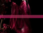The Elegance of Long-sleeved Fish-Tail Cheongsam:A Blend of Traditional Beauty and Modern Grace