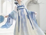Hanfu Style Corset-Style Tops with Adjustable Straps and Built-in Breast Pads:A Closer Look