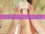 Traditional Tang-Style Clothing:The Charm of 盘扣上衣