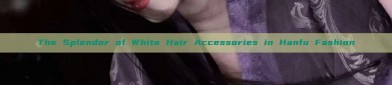 The Splendor of White Hair Accessories in Hanfu Fashion