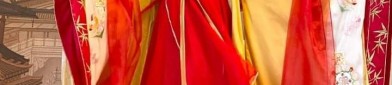 Enhanced Traditionalism:The Evolution of Hanfu Skirt