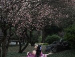 The Rise of Cheongsam-Inspired Womens Fashion:The New Chinese-Style Half-Sleeve Blouse
