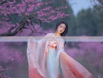 The Splendid Hat of Li Bais Hanfu:A Journey into the Symbolic World of Traditional Chinese Costume