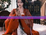 Ancient Charm of Hanfu Long-Sleeve Gowns:A Journey into Traditional Chinese Elegance