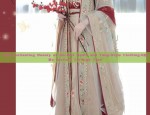 The Enchanting Beauty of Ancient Hanfu and Tang-Style Clothing:A仙女s Journey Through Time