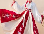 The Splendor of Hanfu at烟雨楼:A Cultural Journey Through Time