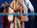 The Girl in a Hanfu Short-sleeved Bliss