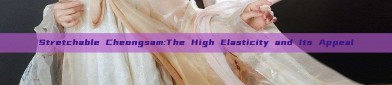 Stretchable Cheongsam:The High Elasticity and Its Appeal