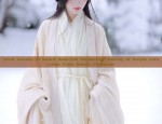 The Allure of Hanfu Headwear:The Ethereal Tassel Ornament