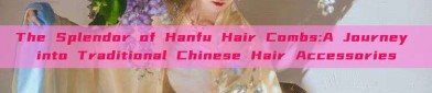 The Splendor of Hanfu Hair Combs:A Journey into Traditional Chinese Hair Accessories