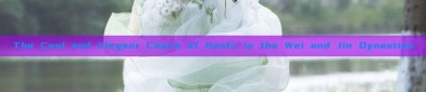 The Cool and Elegant Charm of Hanfu in the Wei and Jin Dynasties