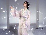 The Elegance of Cheongsam in Thousand Bird Pattern