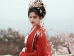 Adult Womens Hanfu Short-sleeved Blouses:A Glance into Traditional Elegance