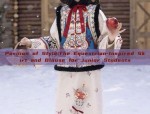 The Splendor of Red-羽 Horseface Skirt:A Cultural Icon of Traditional Chinese Clothing