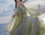 The Enchanting Charm of the Qipao:The Dance of the Dragon and the Grace of the Clear Shadow