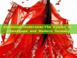 The Revival of Hanfu Fashion:Pei Yues Journey into Traditional Chinese Elegance