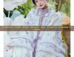Childrens Hanfu Blind Boxes:A New Trend in Cultural Fashion