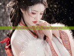 Miss Si Tengs Cheongsam in the Republic of China Era
