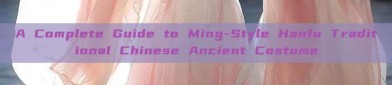 A Complete Guide to Ming-Style Hanfu Traditional Chinese Ancient Costume