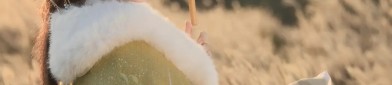 Mini-Sized Hanfu Fashion:Summer Short Styles