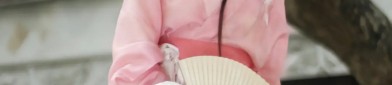 Hanfu Fortune Bag:The Charm of Chest-High Robes