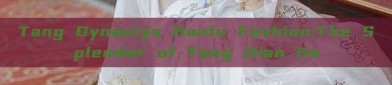 Tang Dynastys Hanfu Fashion:The Splendor of Tang Dian Ge