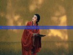 The Splendor of Ming-Style Hanfu in Spring and Autumn