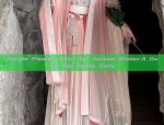 The Evolution of Hanfu Hair Pressing:Embracing Traditional Beauty