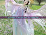 The Splendor of Tang-Style Hanfu in a Blush of Pink