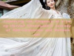 Embracing the Elegance of a Long-sleeved Cheongsam:A Journey of Self-cultivation and Refinement