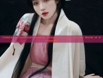 The Splendor of Red Hanfu Hair Accessories:A Journey into Traditional Chinese Elegance