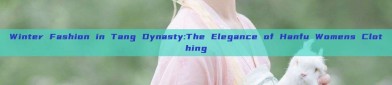 Winter Fashion in Tang Dynasty:The Elegance of Hanfu Womens Clothing