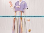 Winter New Chinese Style Silk Velvet Cheongsam:A Blend of Tradition and Modernity