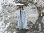Exploring the Enchantment of Pink Hanfu Shoes:A Guide to Traditional Elegance