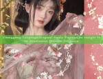 Daily Life in Hanfu:A 12-Year-Olds Perspective