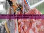 Spring and Autumn Elegance:The Song Dynasty Girls Hanfu Fashion