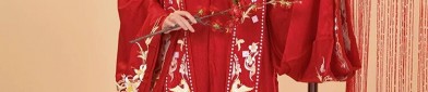 The Rise of the Anabaptist Skirt:The Mid-School Students Mamenchi Dress Set