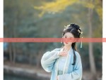 QJJin Original Hanfu Clothing Store:A Journey into Traditional Elegance