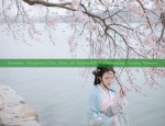 Phoenix-like Splendor at a Turnip Price:The Rise of Affordable Hanfu Fashion