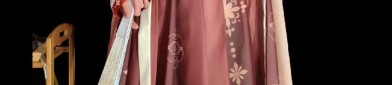 Hanfu in Tang Dynasty:A Students Perspective on Traditional Chinese Clothing